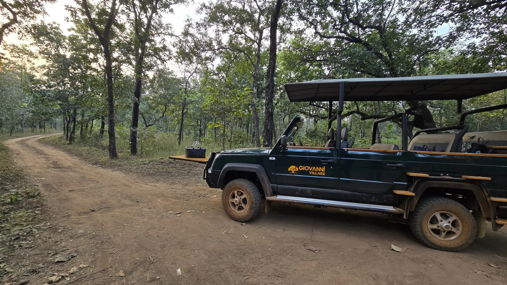 Ratapani Sanctuary safari