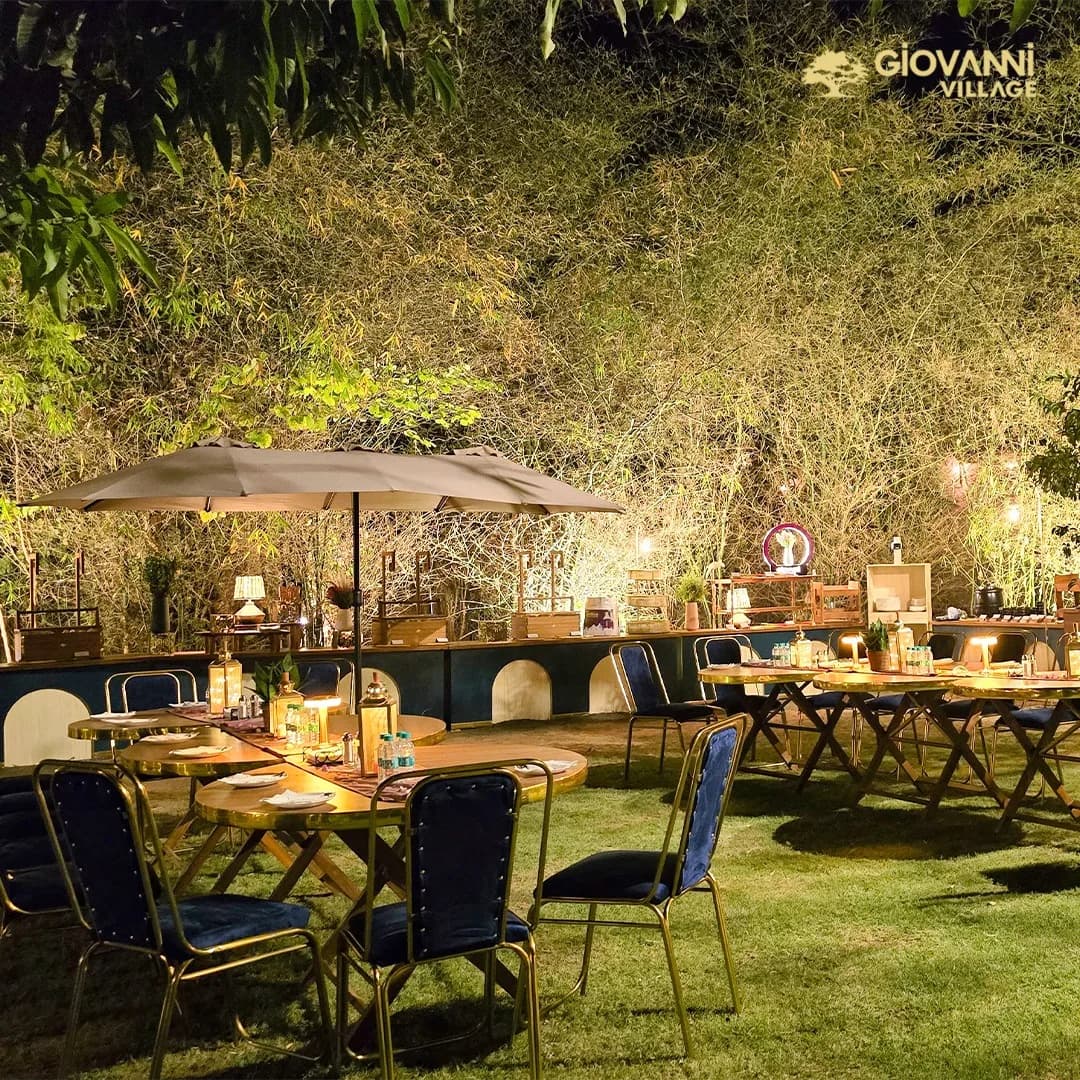 Cocktail Lawn